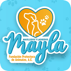 Fundación Mayla