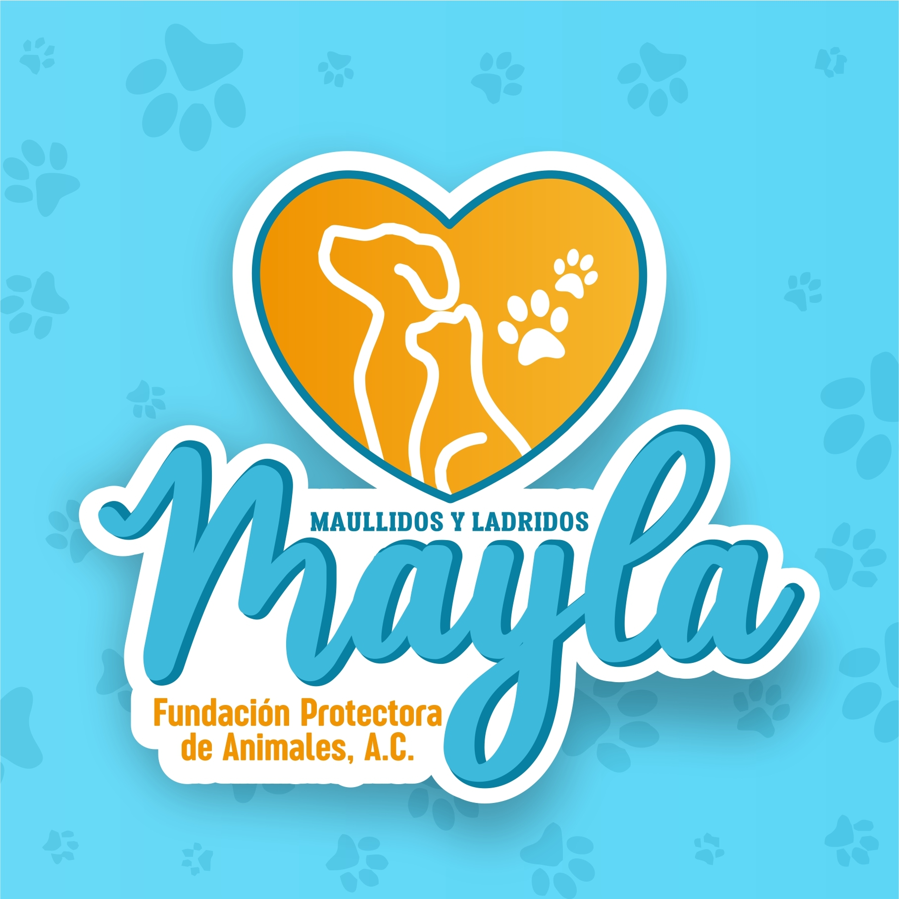 Visita escolar educativa